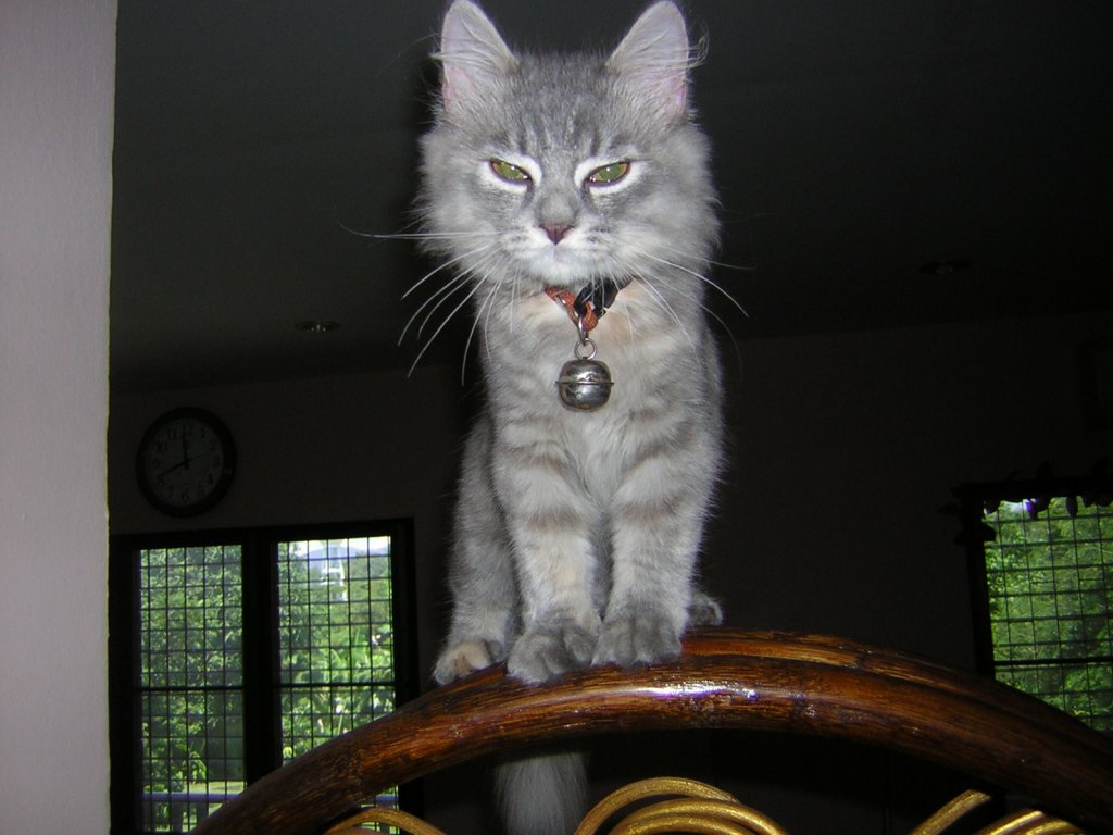 DSCN2433.JPG