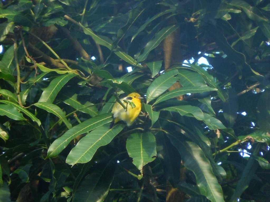DSCN3468.JPG