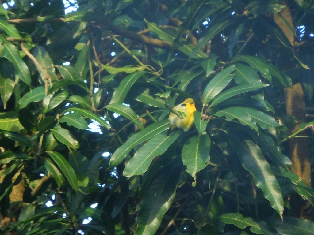 DSCN3469.JPG