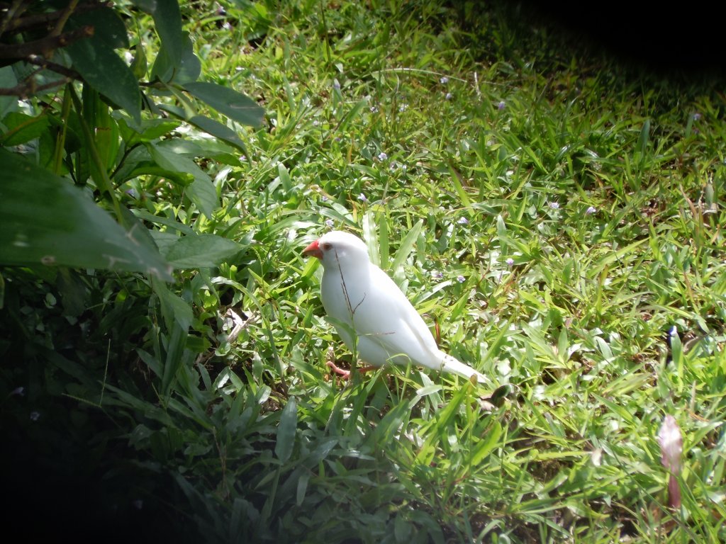 DSCN3481.JPG