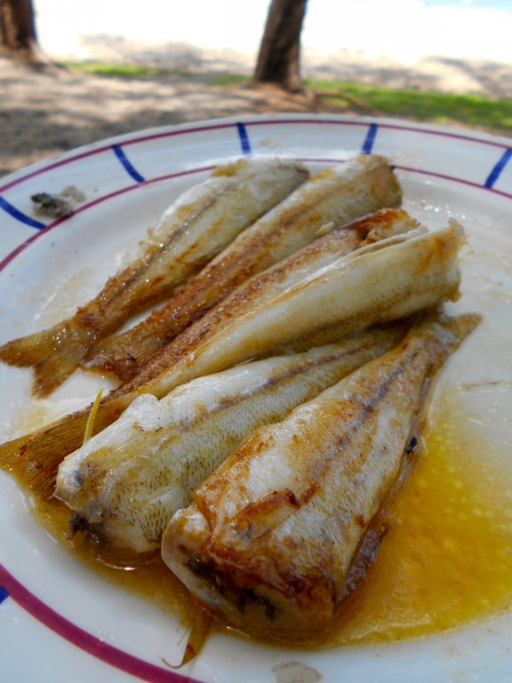 DSCN6915.JPG