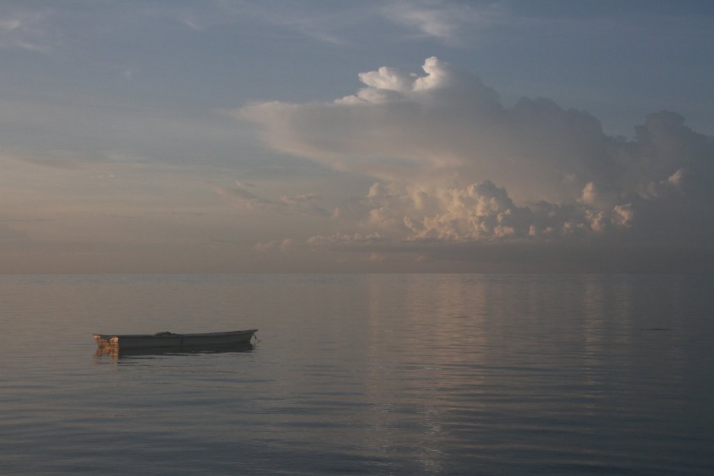 IMG_7847.JPG