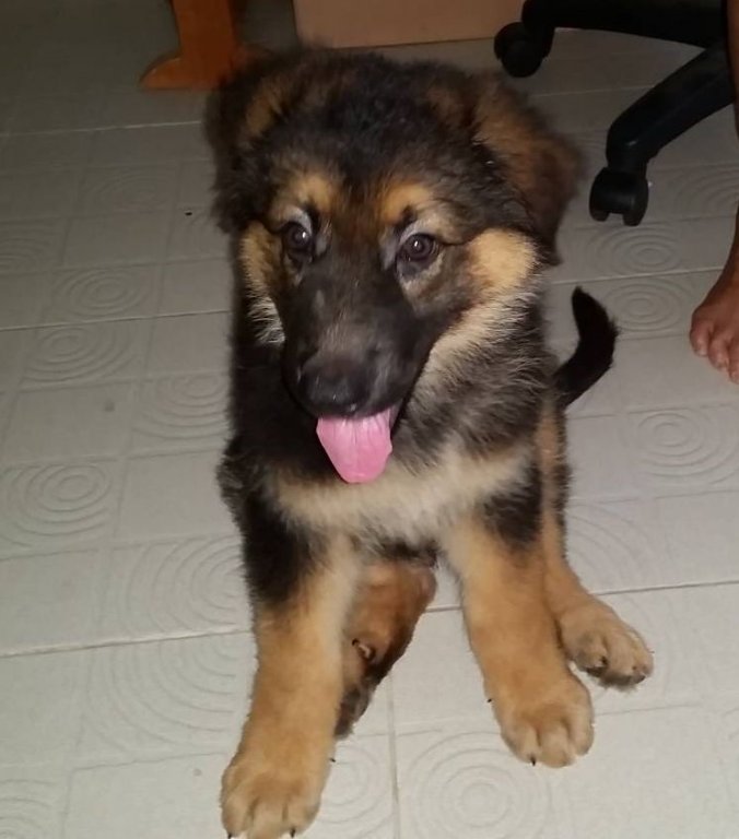 Kahlua-02_Crop.jpg