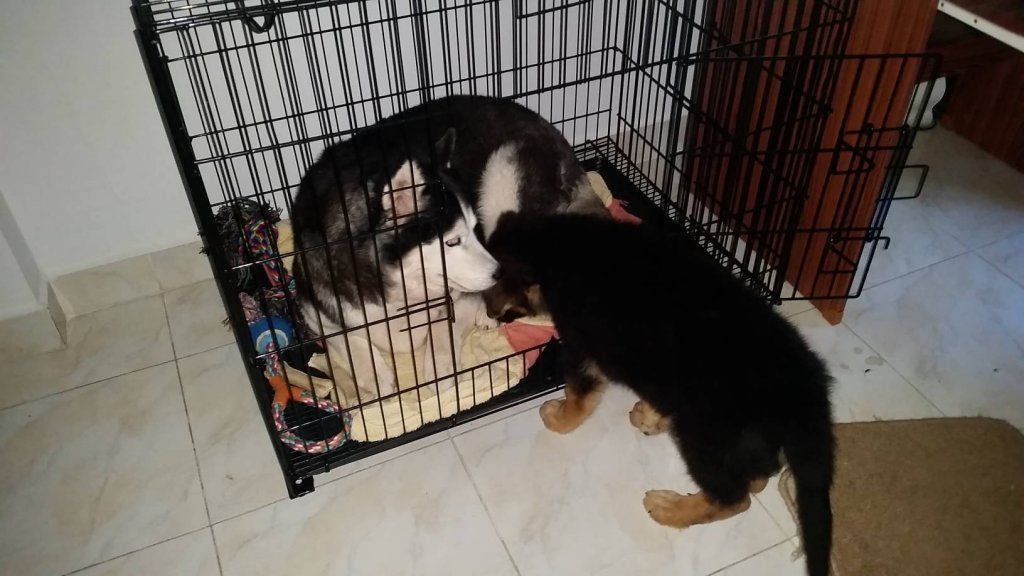 Kahlua-07.jpg