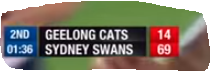 Swans1.PNG