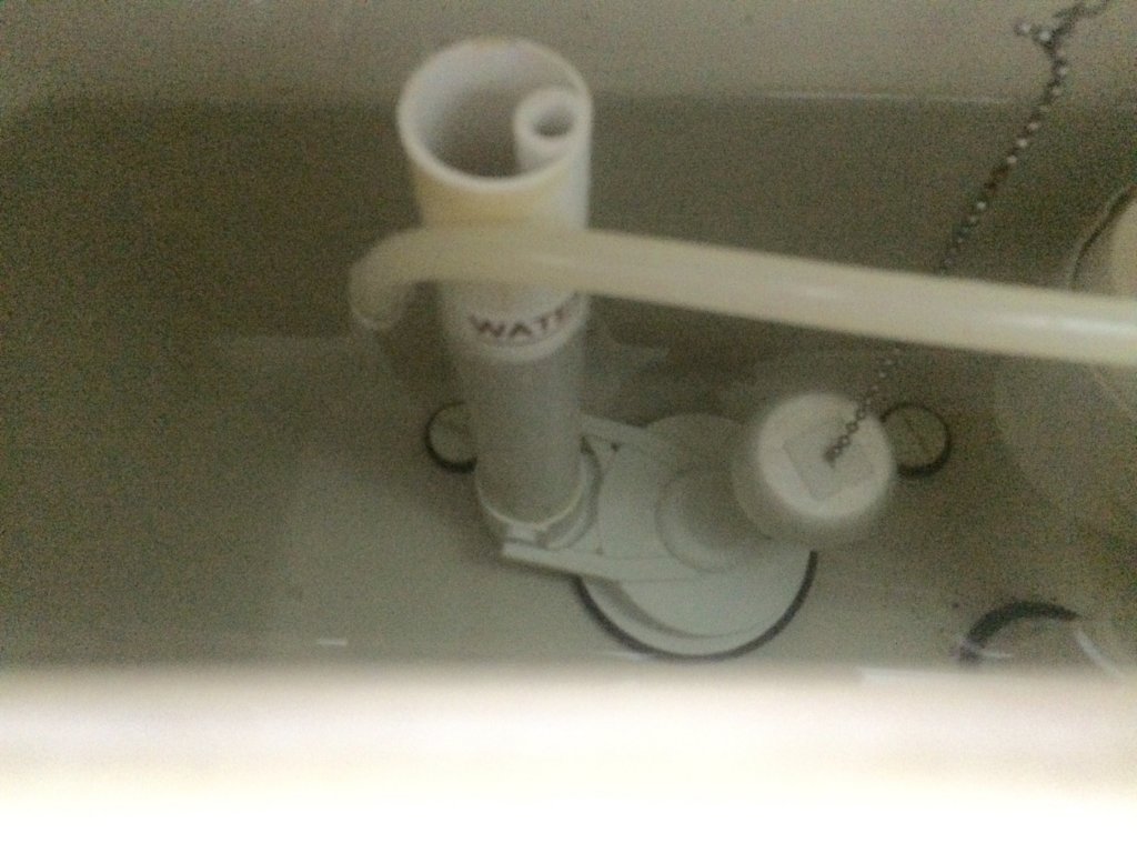 image.jpg