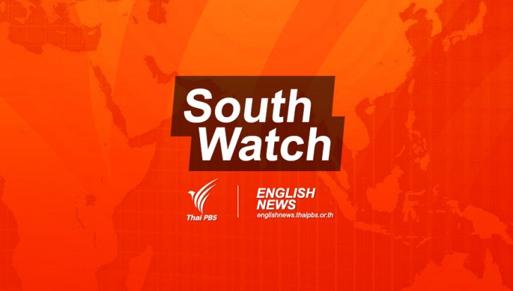 south-watch-wpcf_728x413.jpg