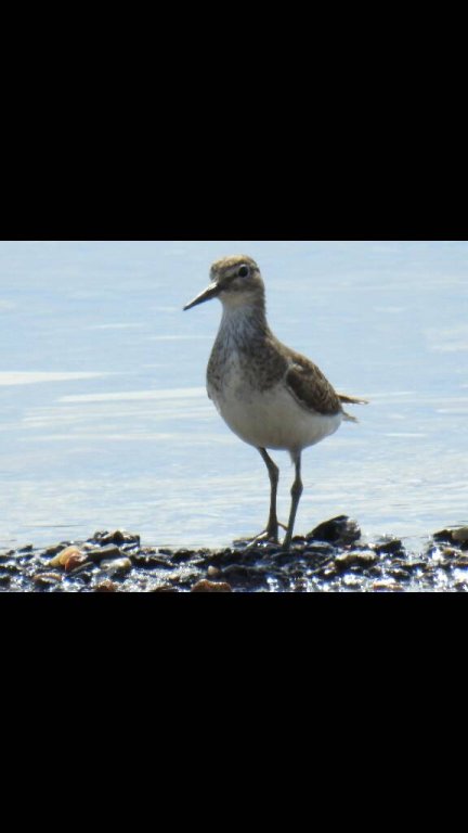 1477733298400.thumb.jpg.43375be72c88c52a