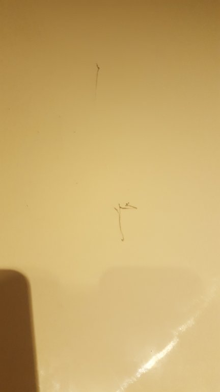 20161003_194936.jpg