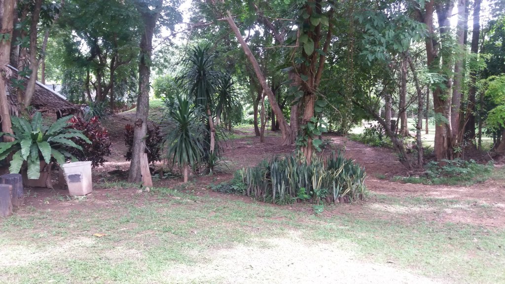 20161007_132542.jpg