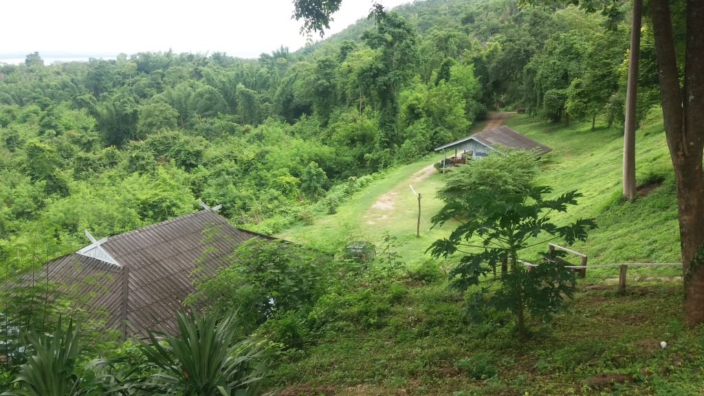 20161007_140913.jpg