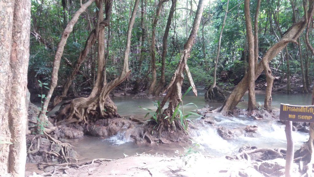 20161008_094518.jpg