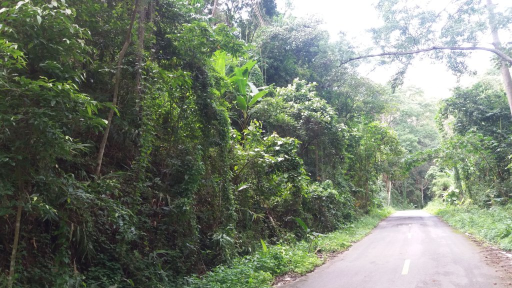 20161008_133854.jpg