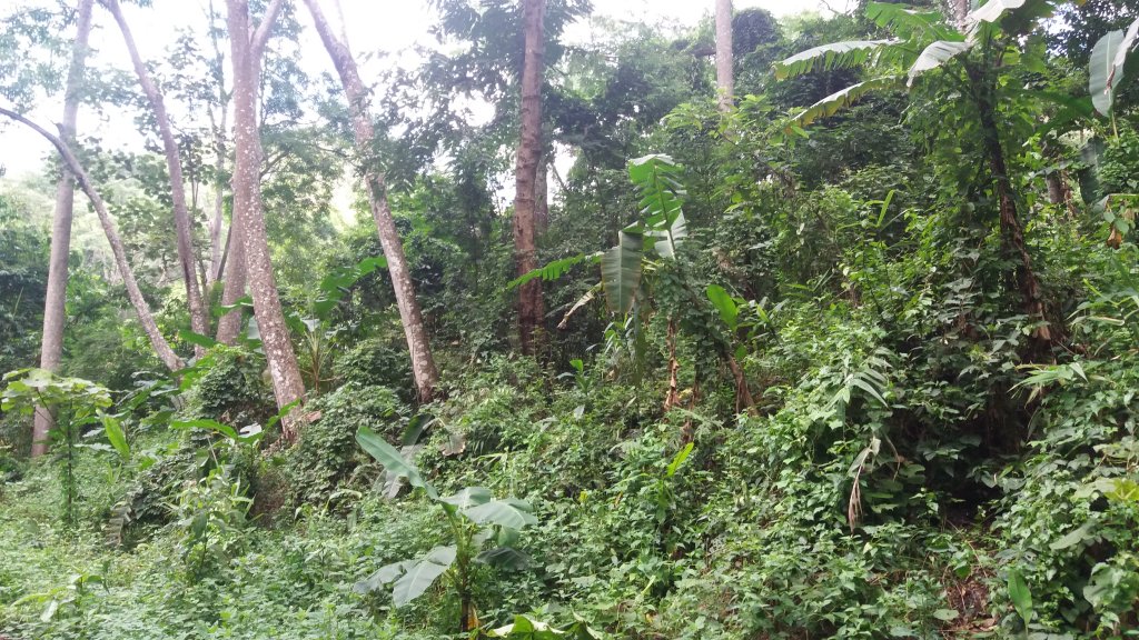 20161008_133901.jpg