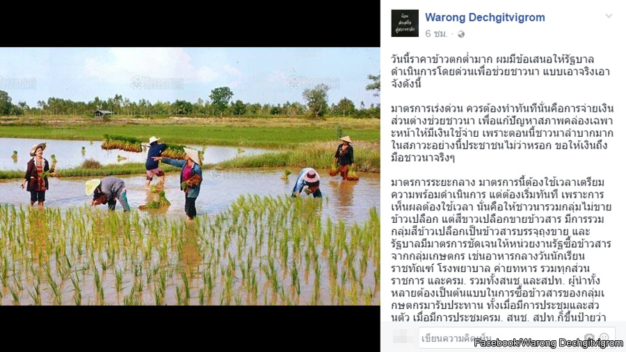 361_Rice.jpg