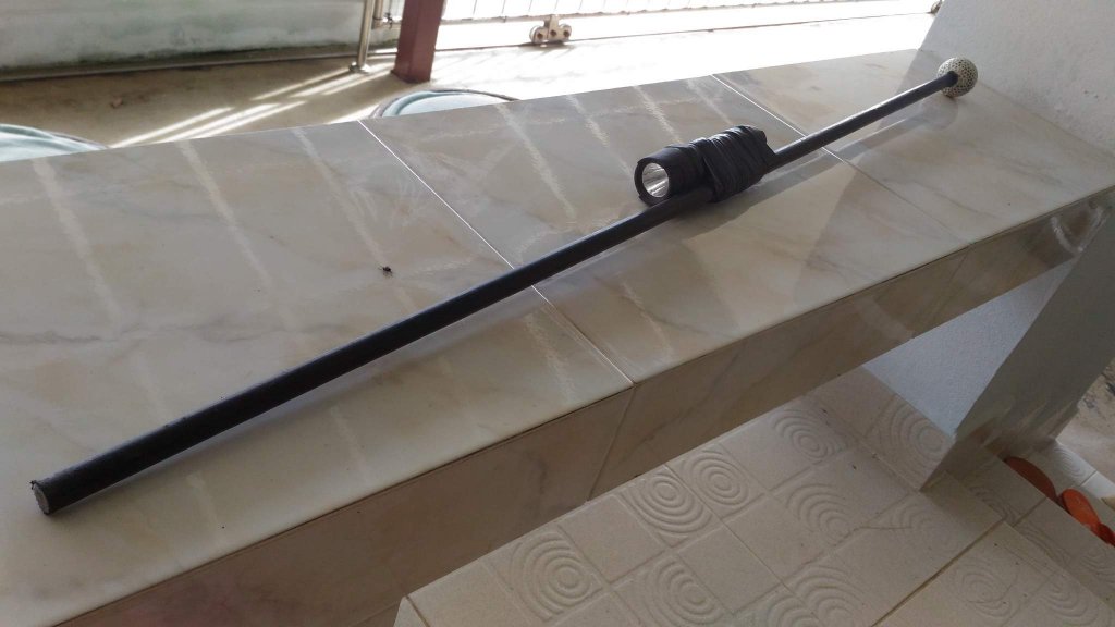 Walking stick.jpg