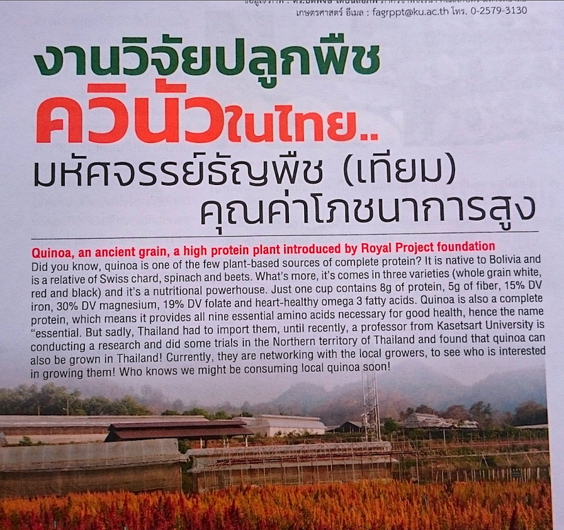 Eng Quinoa belrb.png