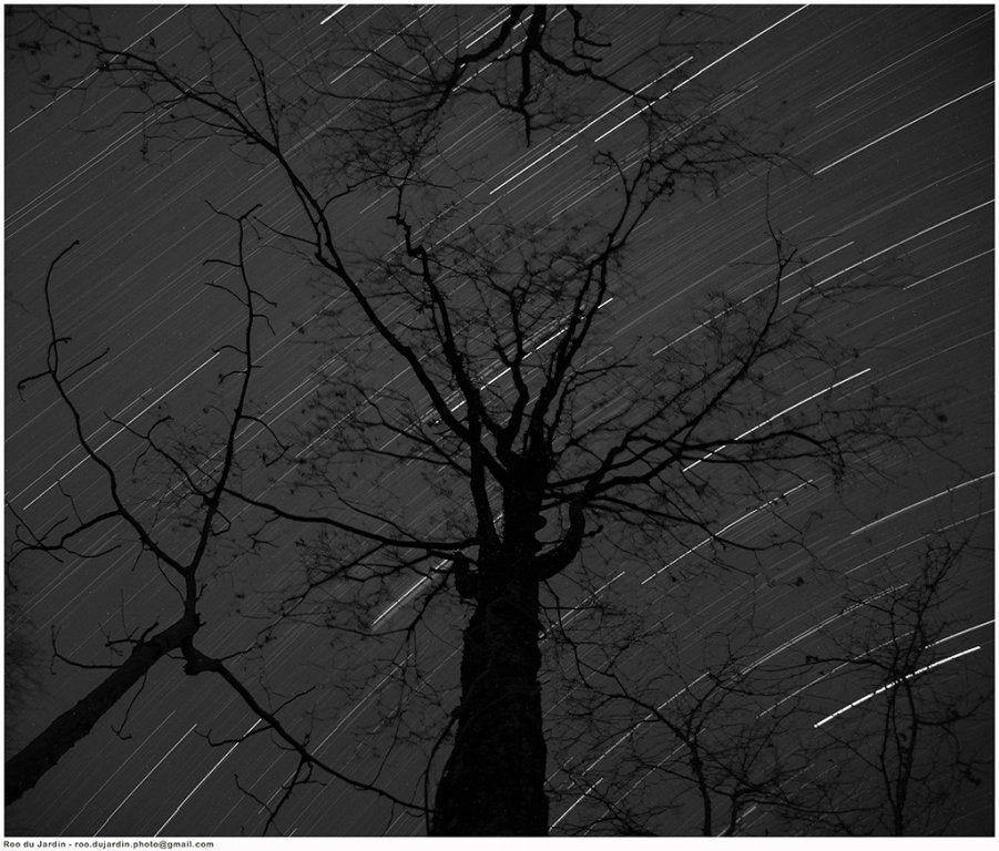 StarStaX_DSC_1053-DSC_1054_lighten b&w 1024.jpg