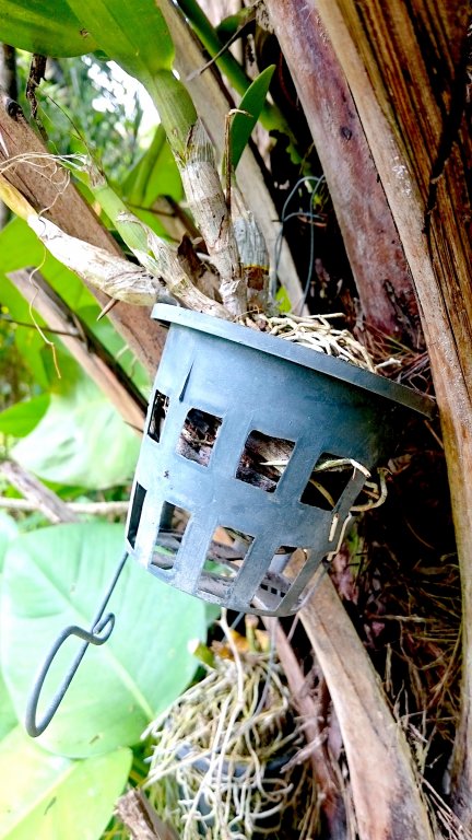 DSC_0013_1 2.JPG