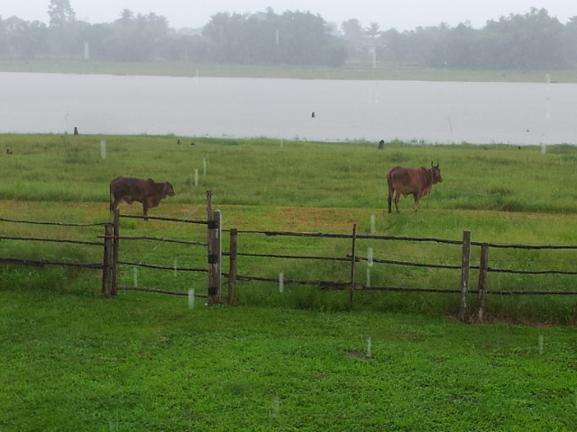 Phone pics 5-24 165.jpg