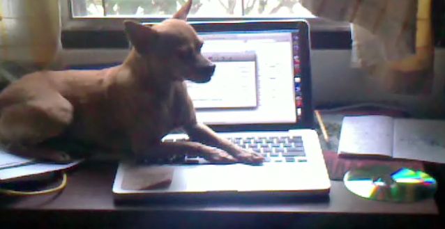 Kadan at g=the computer.jpg