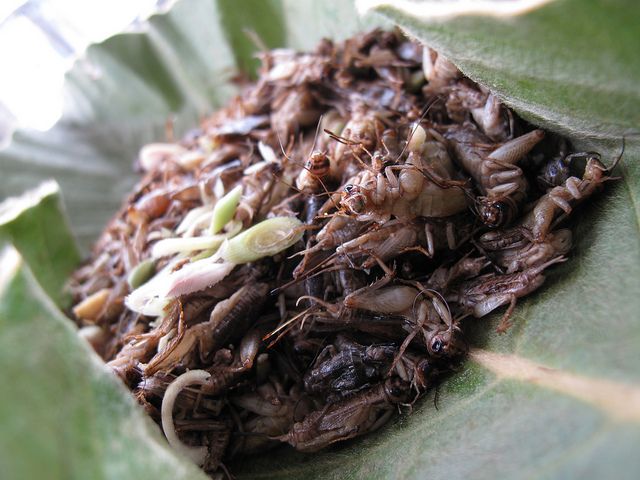 6849916121_cf844e5a24_z.jpg