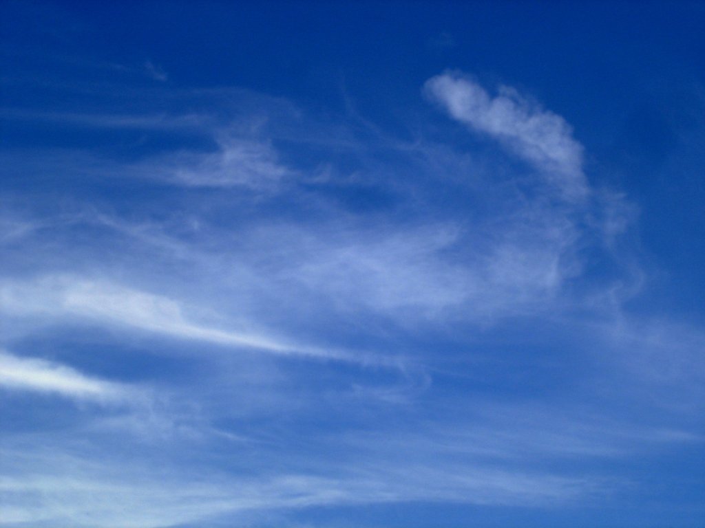 DSC02118.JPG