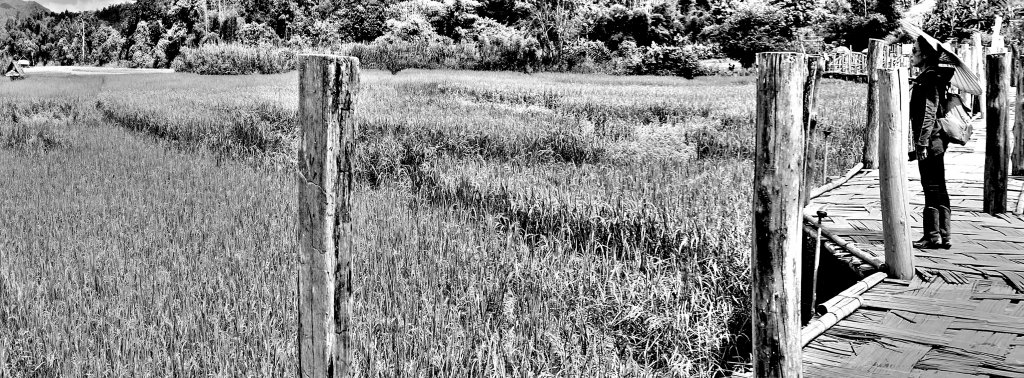 DSC07389_exposure-Crop2-BW.JPG