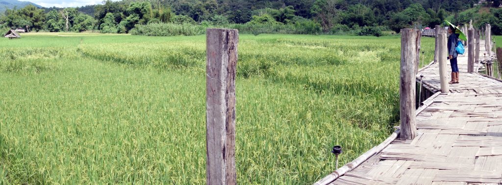 DSC07389_exposure-Crop2.JPG