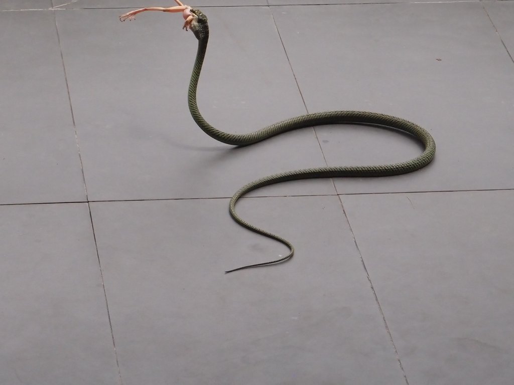 PA150449.JPG