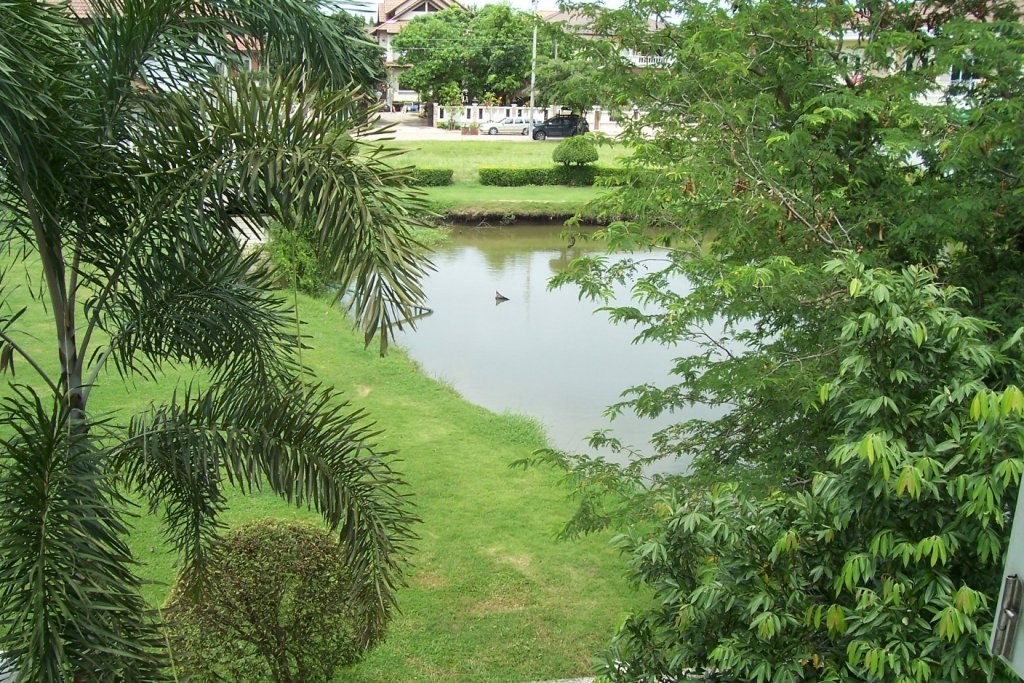 View.JPG