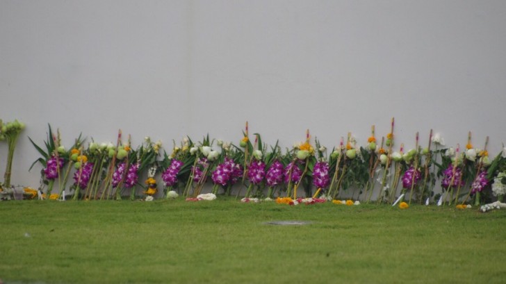 dc0ce6cde168c26bf4abb91c553dcf26-wpcf_728x409.jpg
