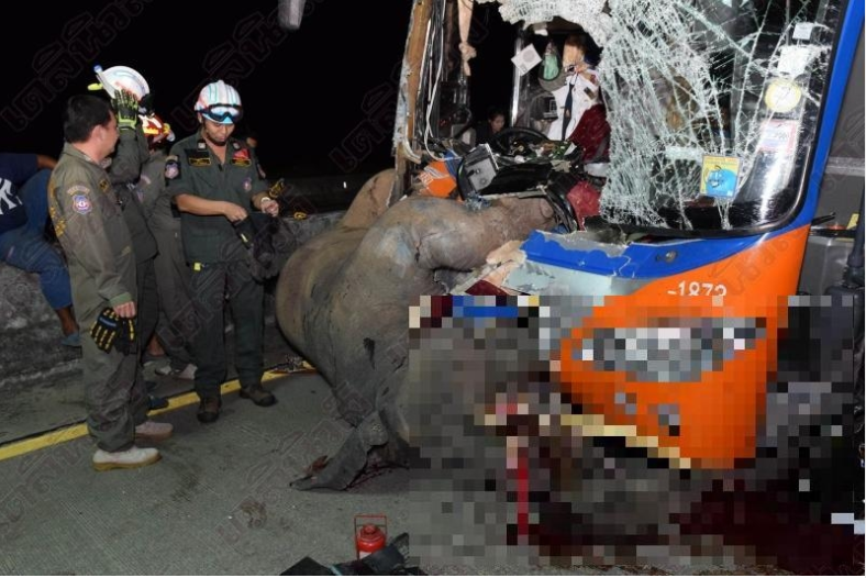 elephant.PNG