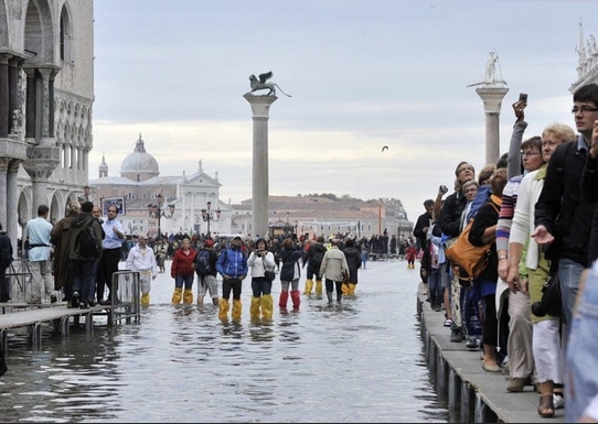 meanwhile_in_venice.jpg