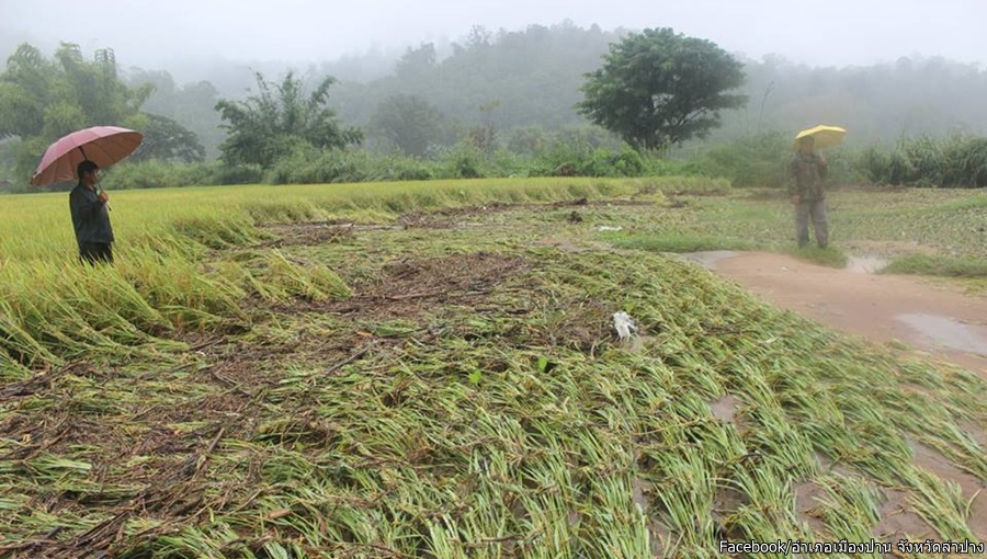 17_Lampang.jpg