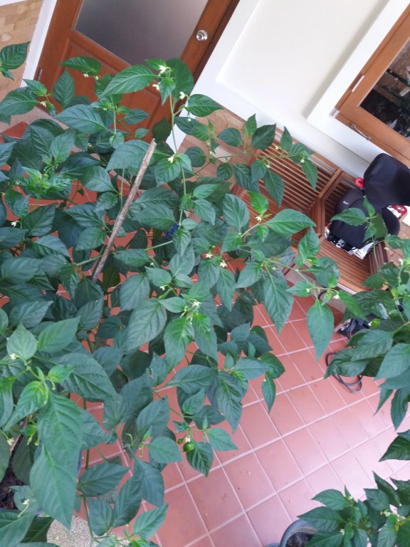 20161103_082914.jpg