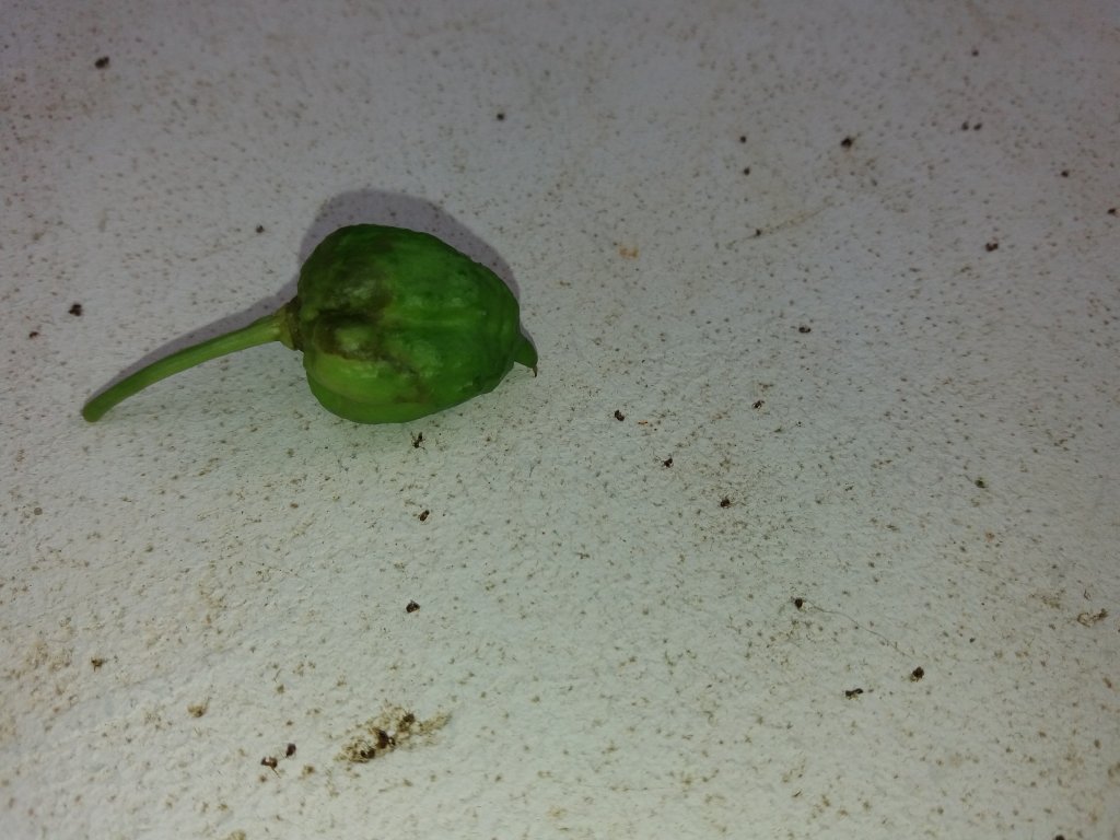 20161103_083433.jpg