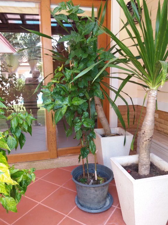 20161103_083714.jpg