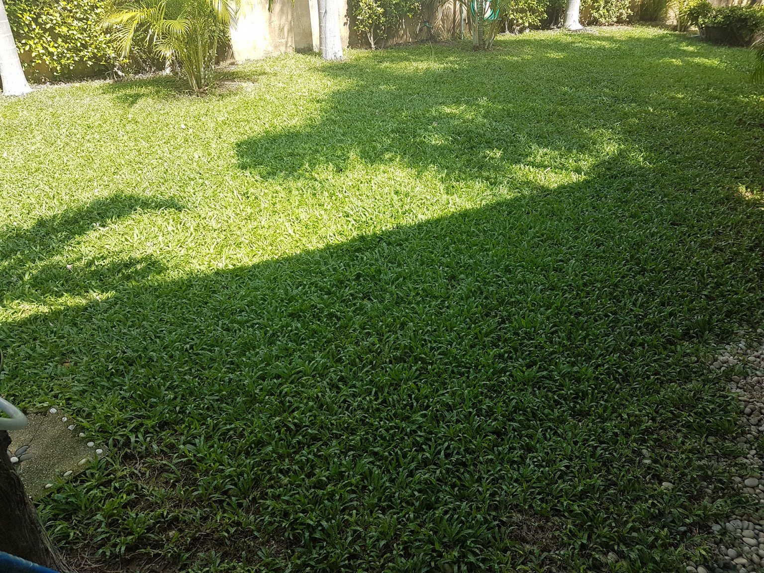 20161118_123359.jpg