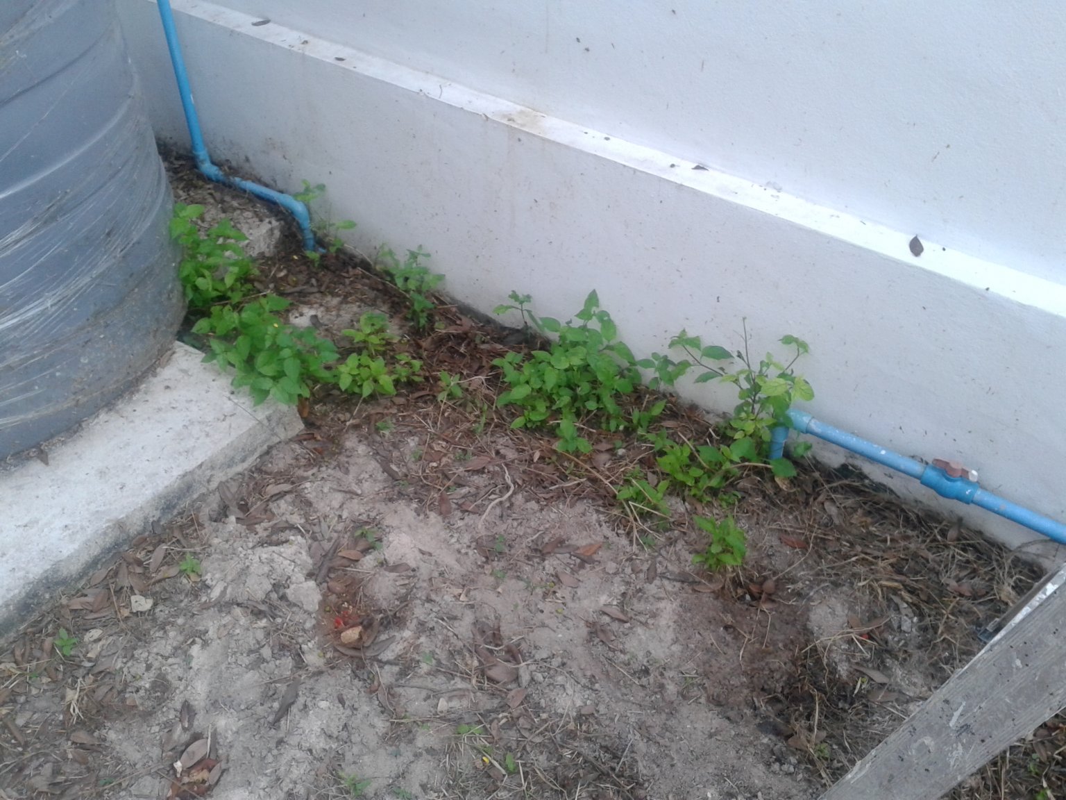 20161122_165656.jpg