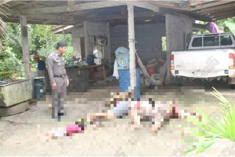 surat thani.PNG