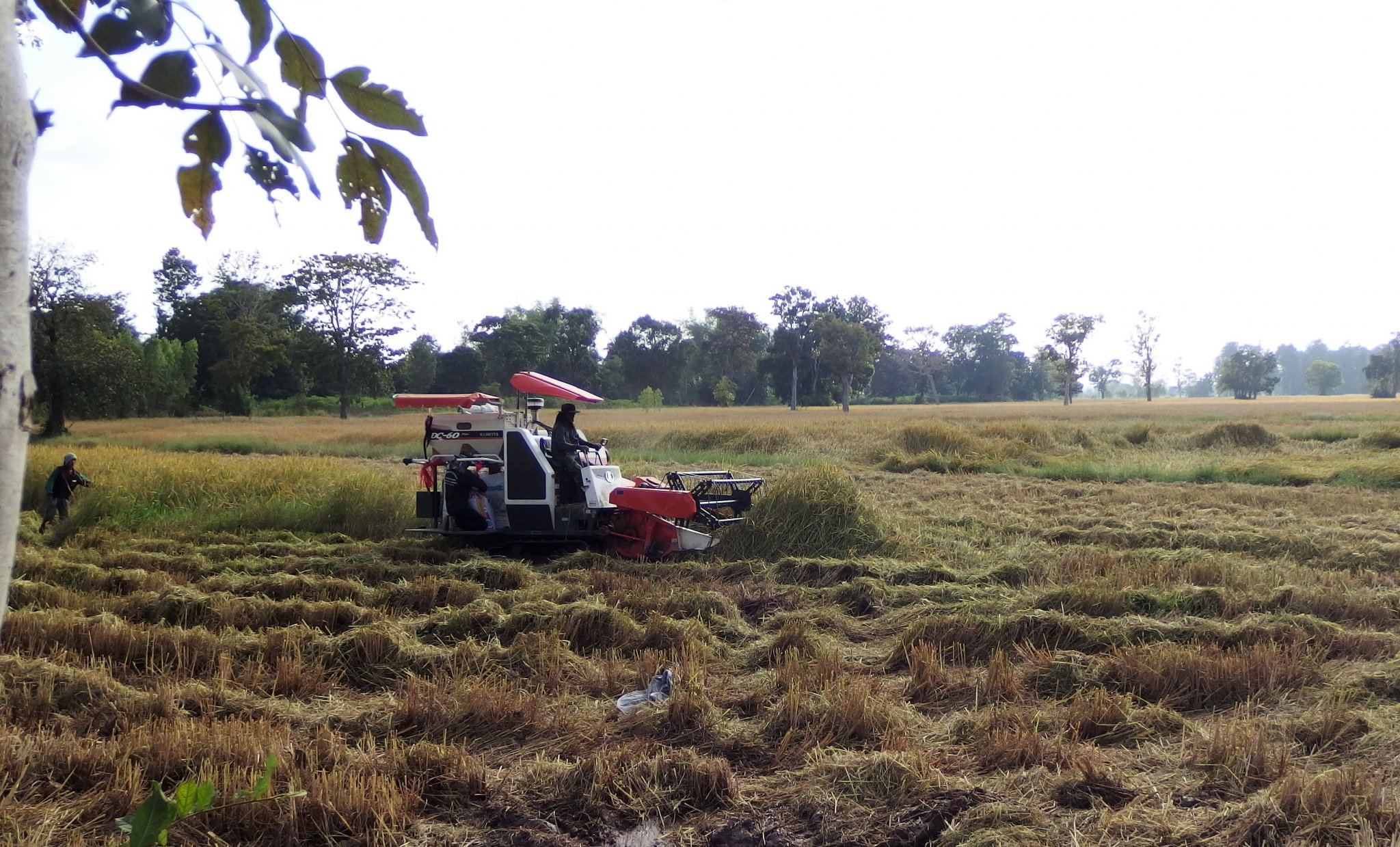 PB150661 - cropped.jpg