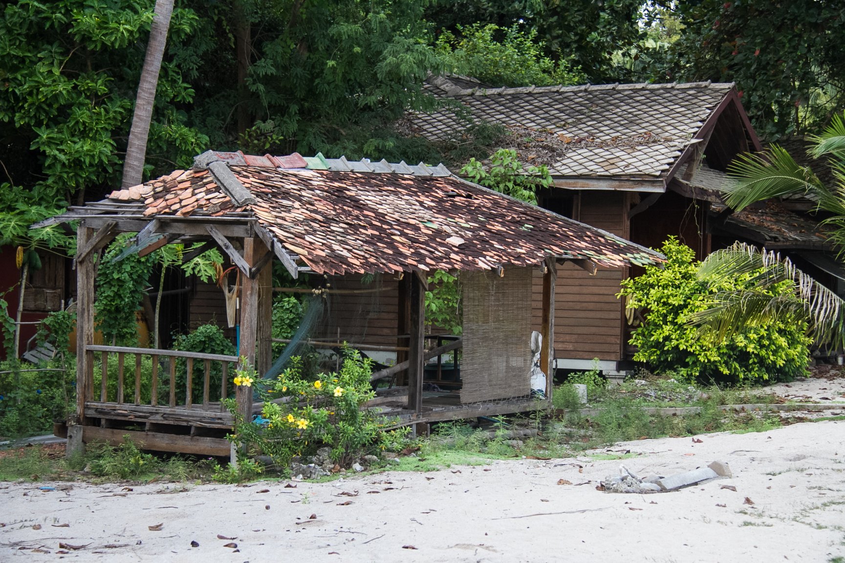 November S and W Samui -9087.jpg
