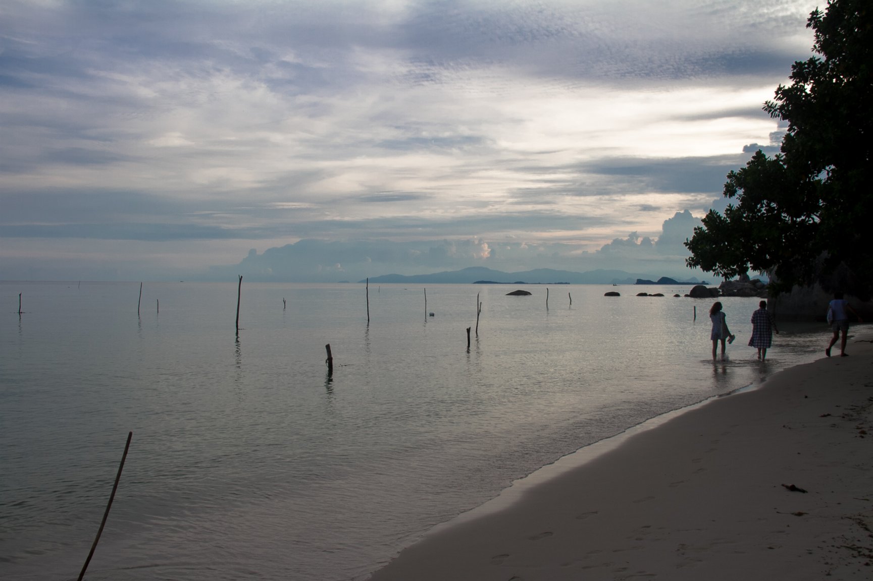 November S and W Samui -9103.jpg