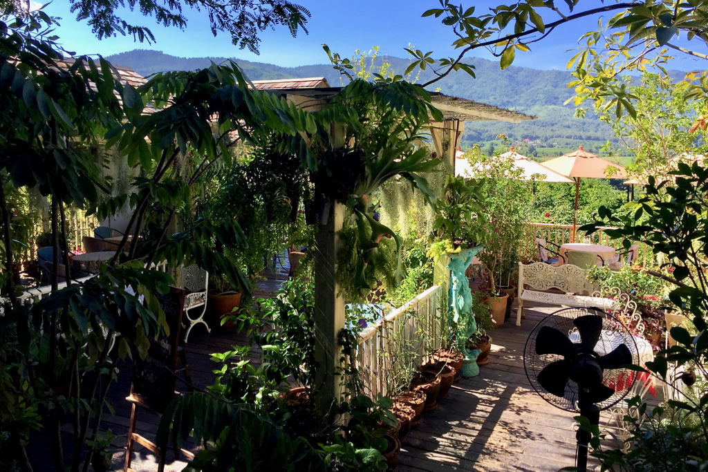 Hacienda Coffee House - 4.jpg