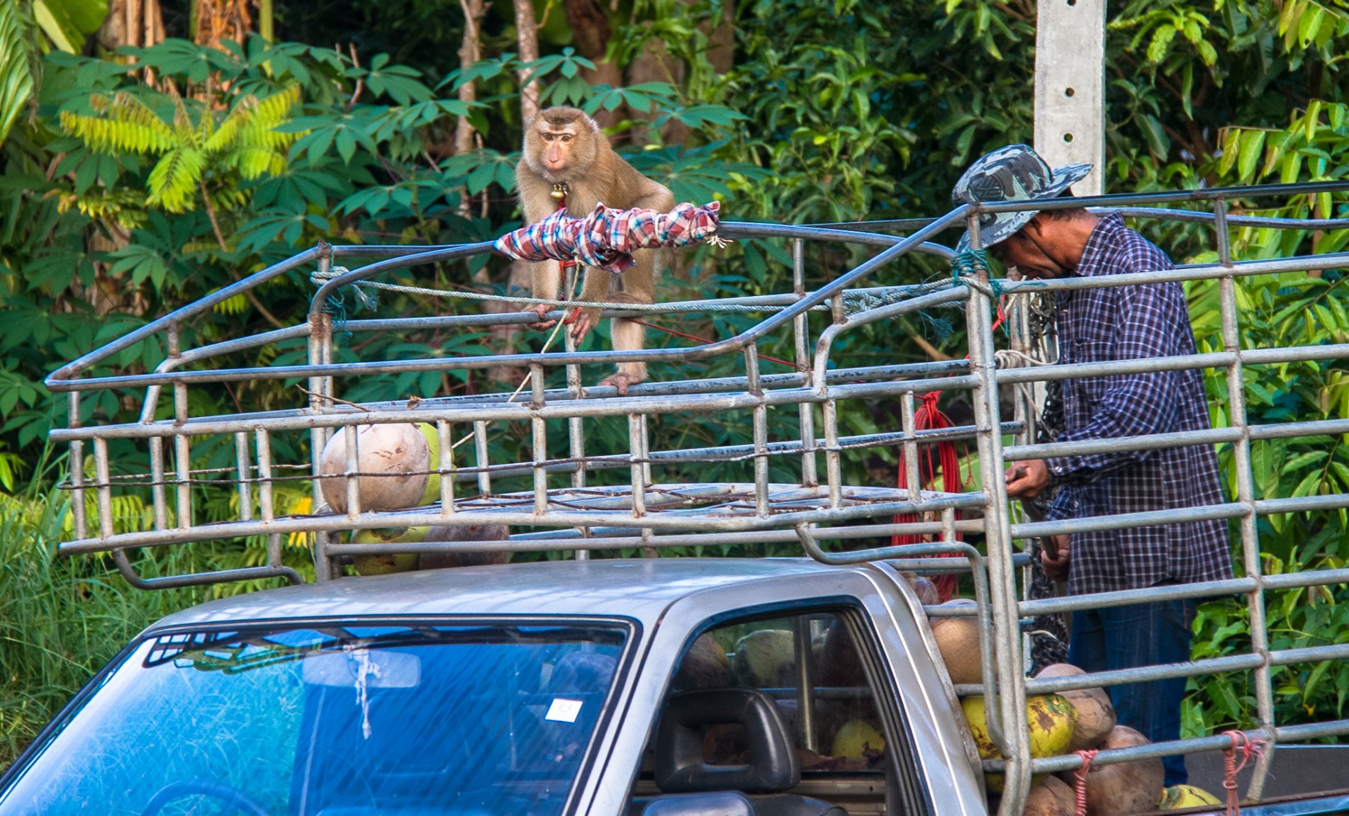 November S and W Samui -9144.jpg