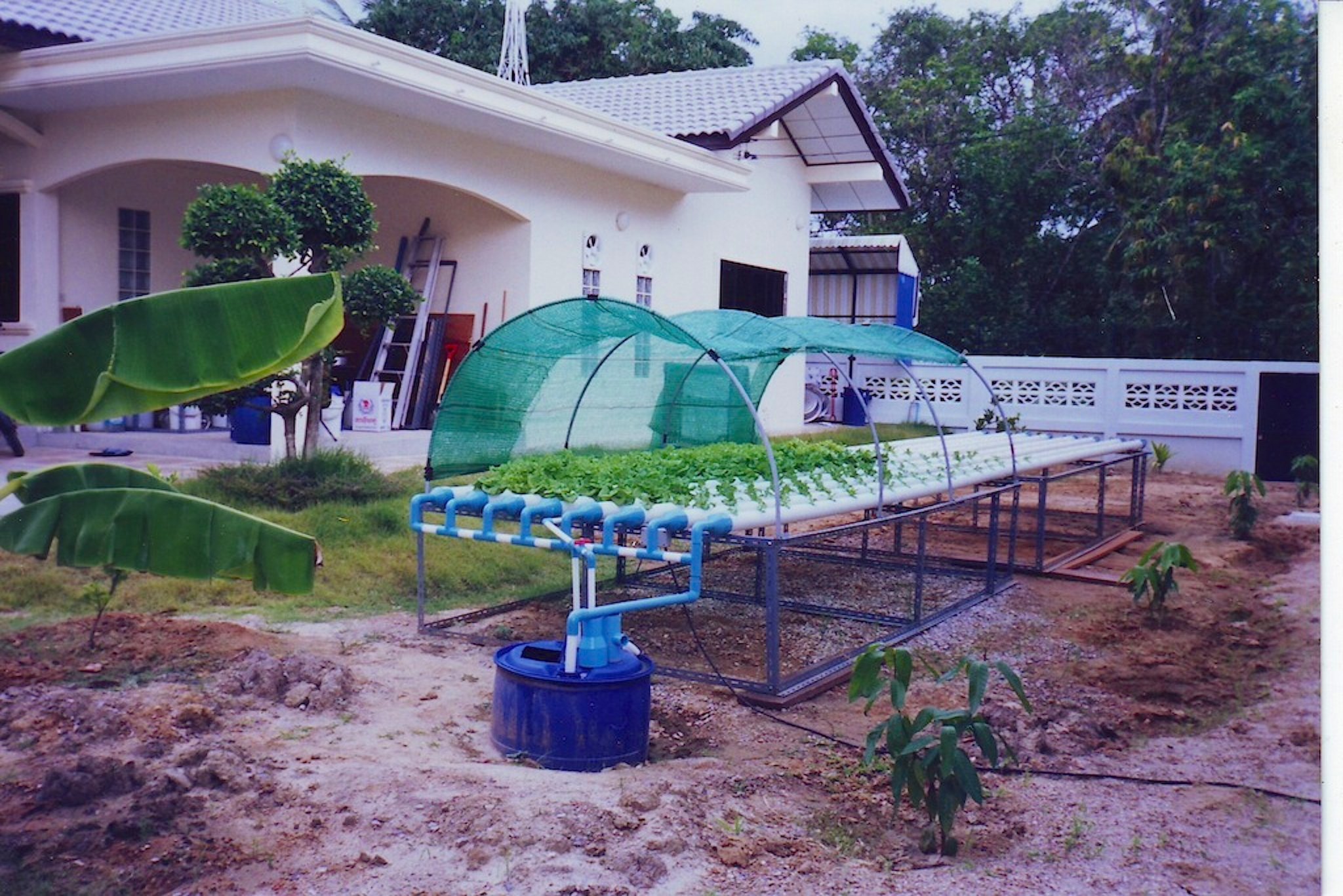 post-37242-007425500 1277837135 copy.jpg