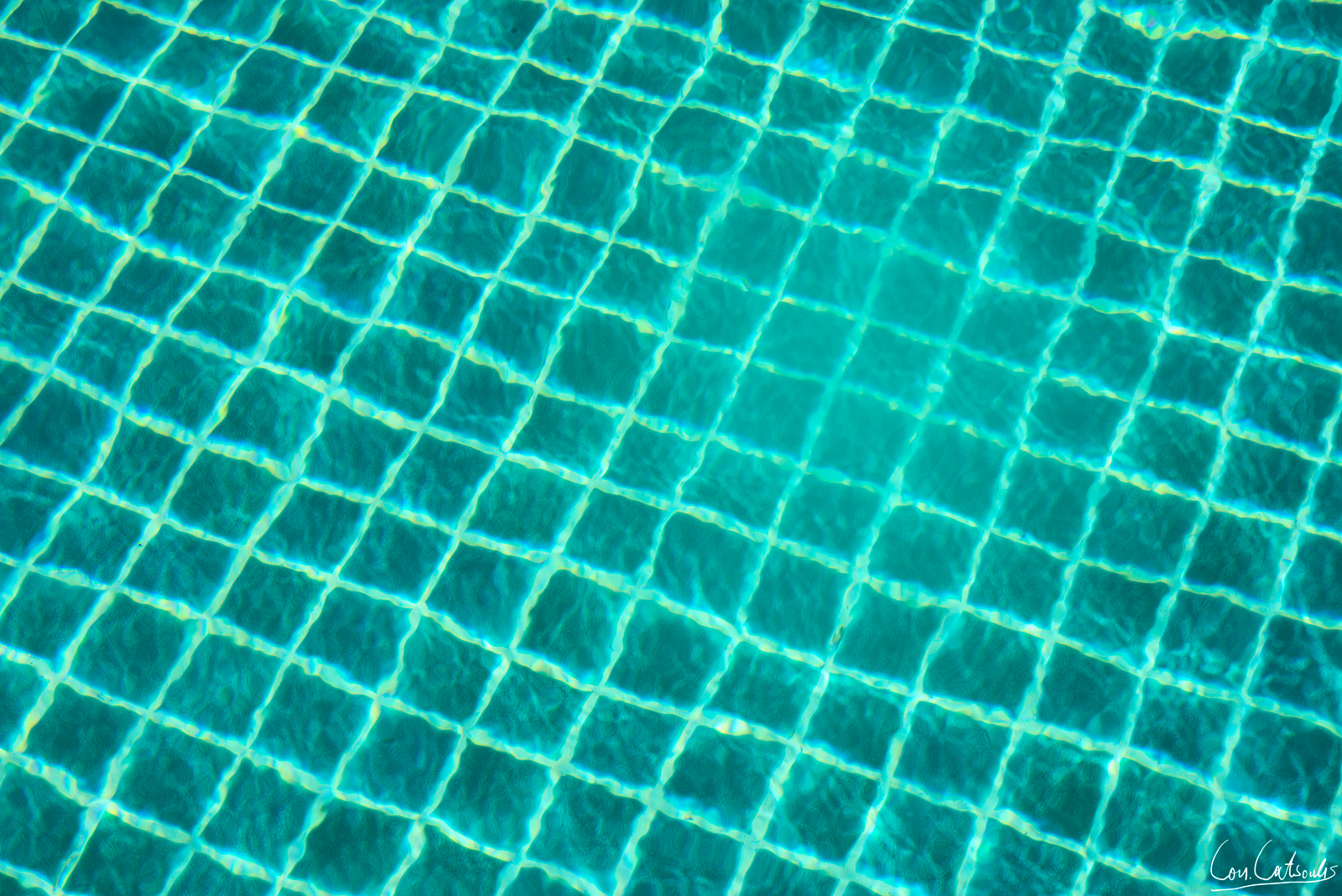 CON_7204.jpg
