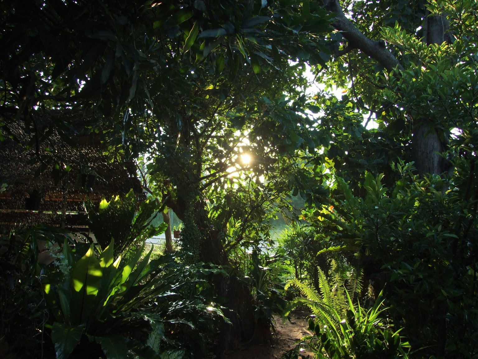 DSCF3279.JPG