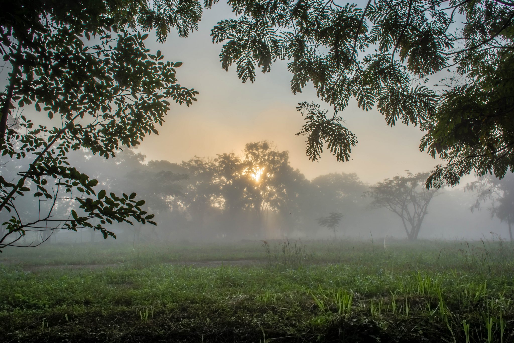 DSC_0132-2.jpg